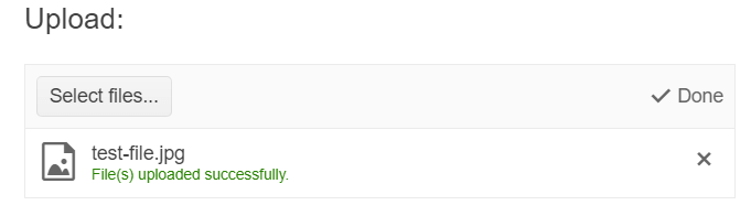 Sample Telerik UI for ASP.NET MVC Upload