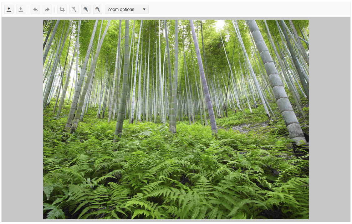 Sample Telerik UI for ASP.NET MVC ImageEditor