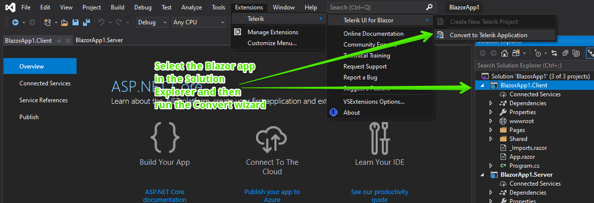 Start the Convert Project Wizard