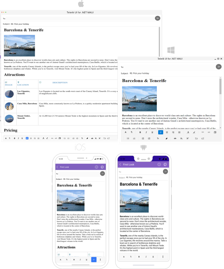 .NET MAUI Rich Text Editor Overview