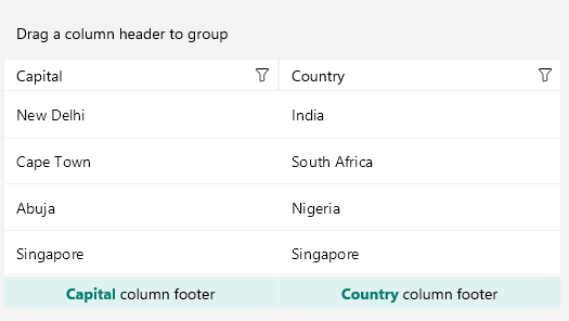 .NET MAUI DataGrid Column Footer Template