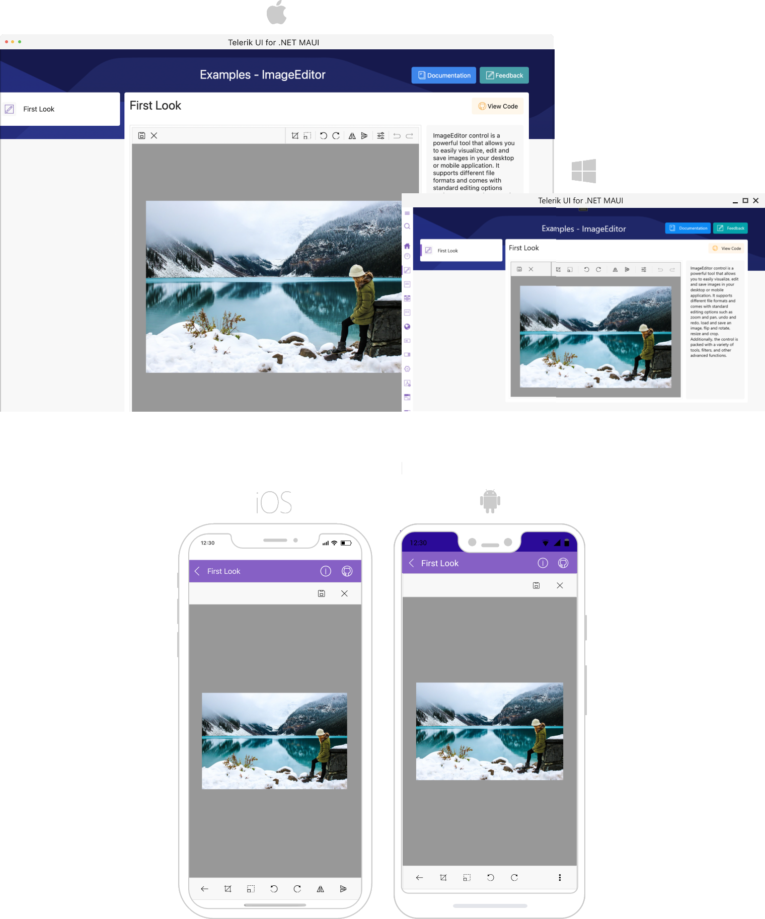 ImageEditor Overview .NET MAUI ImageEditor Overview
