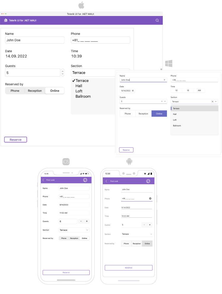 .NET MAUI DataForm Overview