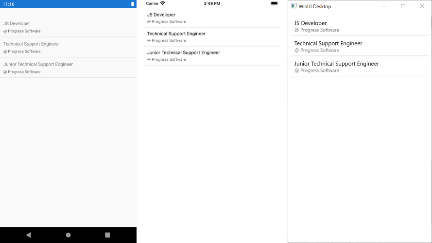 ItemsControl Item Template