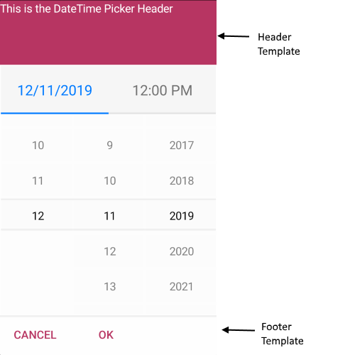 DateTimePicker FooterTemplate