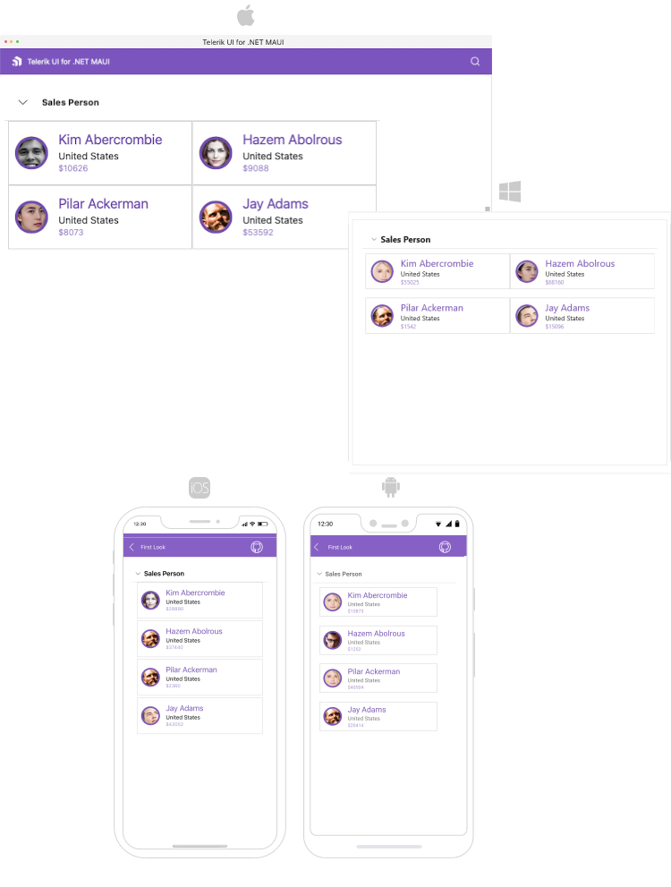 Expander Overview .NET MAUI Expander Overview