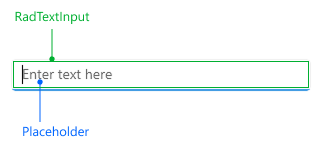 Visual elements of Entry control Telerik UI for .NET MAUI Entry Visual Structure