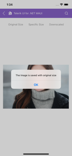 Toolbar Visual Structure