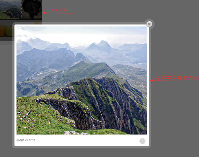 Image-Gallery-Display Area Light Box