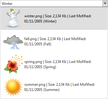 ComboBox Custom Attributes Images
