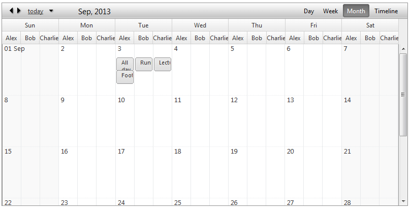 scheduler-views-monthview-horizontalgroupingbyresourceanddate