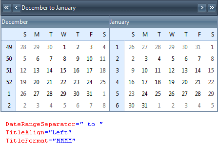 Using the DateRangeSeparator