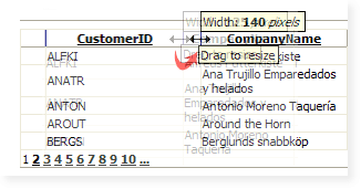 EnableRealTimeResize = true