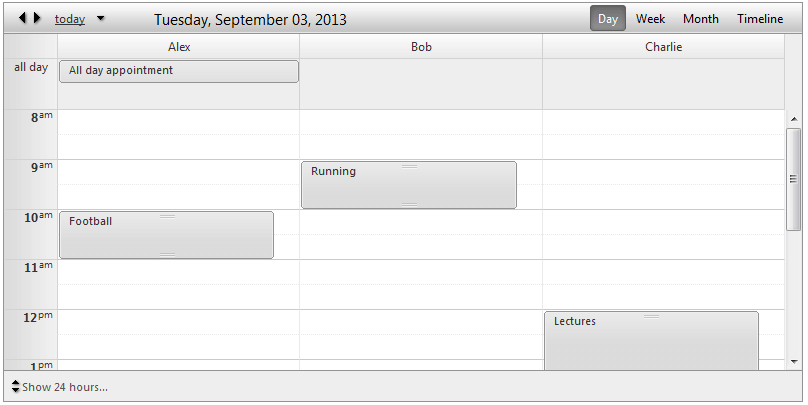 scheduler-views-dayview-horizontalgroupingbyresource