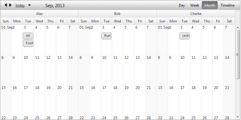 scheduler-views-monthview-horizontalgroupingbyresource