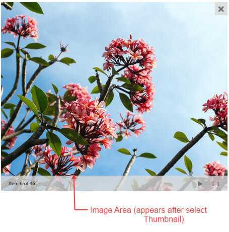 Image-Gallery-Display Area Thumbnails Preview