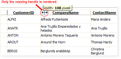 EnableRealTimeResize=false