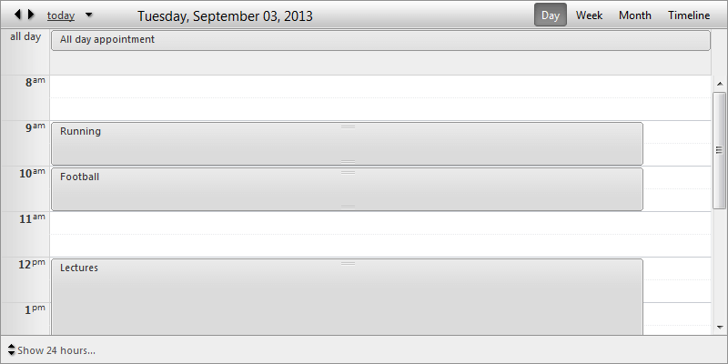 scheduler-views-dayview-nogrouping