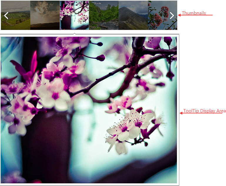Image-Gallery-Display Area Tool Tip