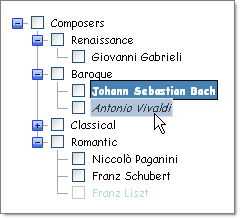 Customizable Appearance Customizable Appearance