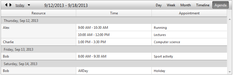 scheduler-views-agendaview-verticalgroupingbydateandresource