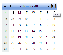 Navigating the RadCalendar control