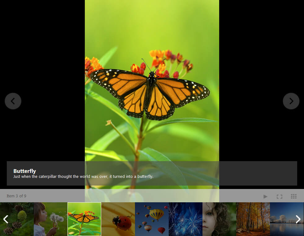 image-gallery-binding-to-static-collection
