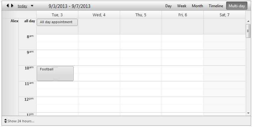 scheduler-views-multidayview-verticalgroupingbyresource