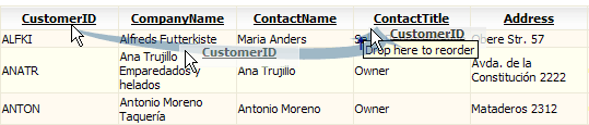 Columns Reordering With Drag-and-Drop