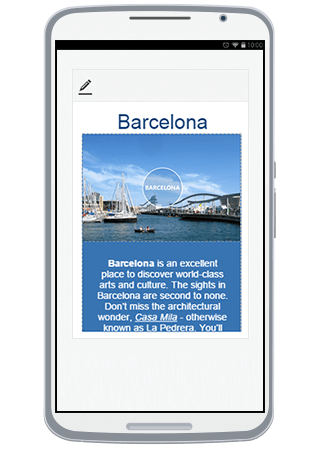 Phone Layout Editor - Preview mode