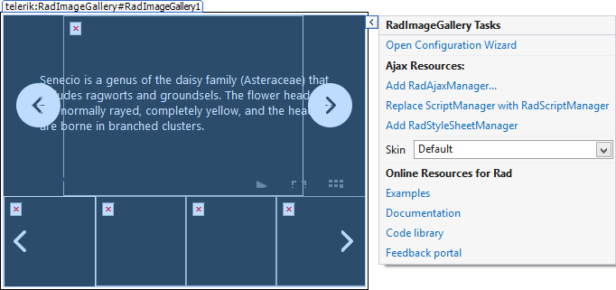 Image Gallery Design Time 1