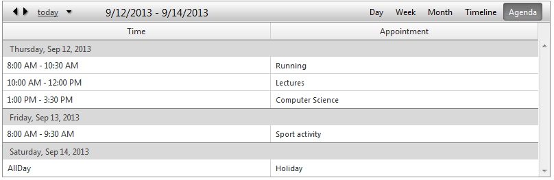 scheduler-views-agendaview-verticalgrouping