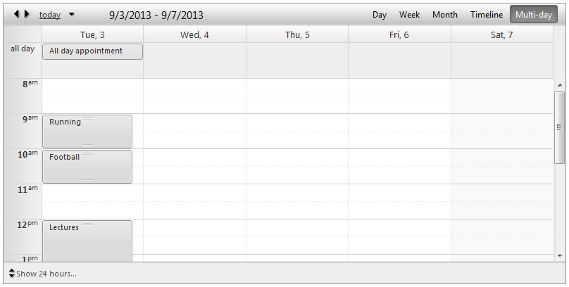scheduer-views-multidayview-nogrouping